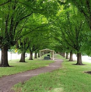 Meet your Posher, Louise